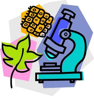 Предметы биолога