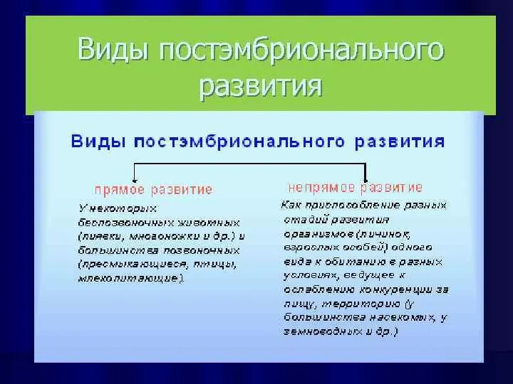 Постэмбриональное развитие млекопитающих. Типы постэмбрионального развития. постэмбриональное развитие. постэмбриональное развитие животных. процессы постэмбрионального развития.