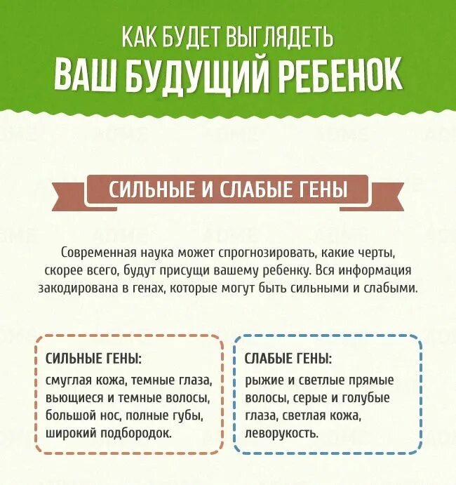 как будет выглядеть будущий ребенок по фото Дзен