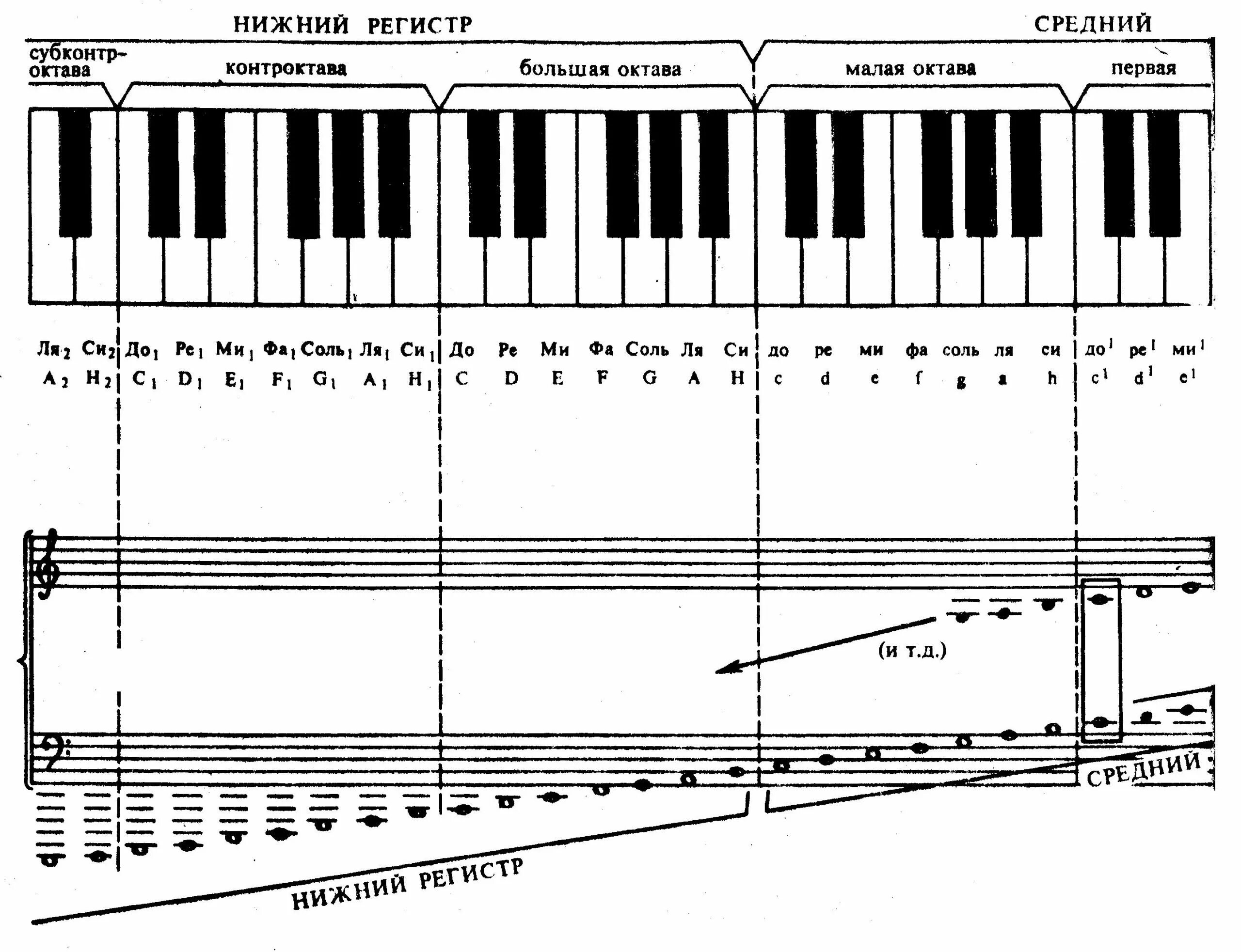 Как звучат октавы. Клавиатура 2 Октава аккордеона. Басовый ключ для пианино 1 и 2 октавы. Знаки альтерации на нотном стане. Октавы и Ноты малая Октава.