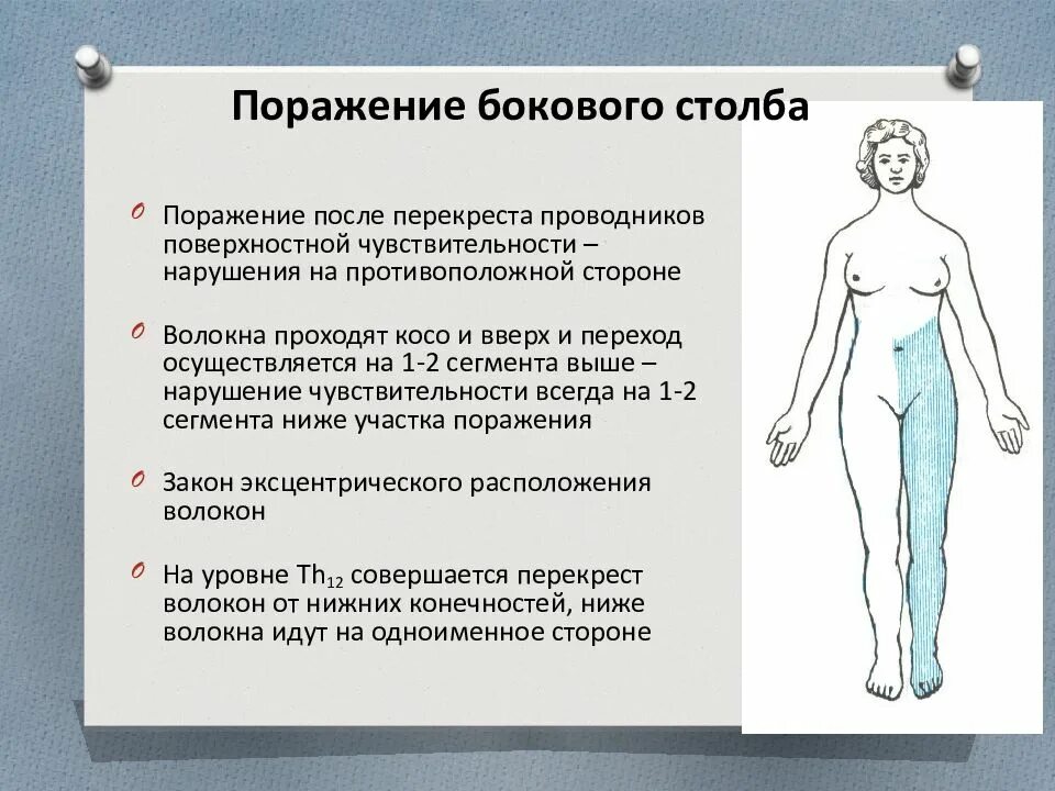 Поражение бокового столба спинного мозга. Синдром поражения боковых столбов спинного мозга. Поражение задних столбов спинного мозга нарушение чувствительности. Синдромы нарушения чувствительности при поражении спинного мозга.