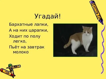 Маленький усатенький мохнатенький со спинкой полосатенький