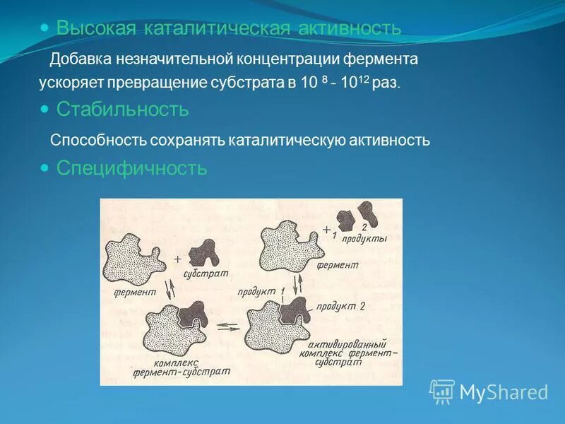 Каталитической активностью обладает. Каталитическая активность ферментов. Каталитическая специфичность ферментов. Высокая каталитическая активность. Высокая каталитическая активность ферментов.