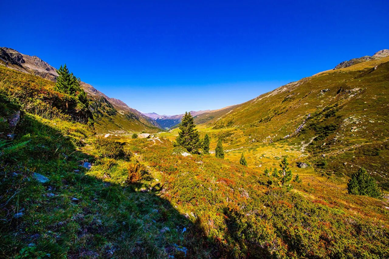 Долина в горах 5 букв. Швейцария Альпы Луга. Альпийские Луга Швейцария Альпийские Луга Швейцария. Территория Швейцарии Альпы Луга. Территория Швейцарии Альпы Луа.