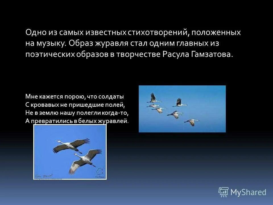 История создания стихотворения журавли расула гамзатова. Стихотворение Журавли Расула Гамзатова. Стихи Гамзатова Журавли. Стихи Расула Гамзатова Журавли. Журавли Гамзатов стихотворение.