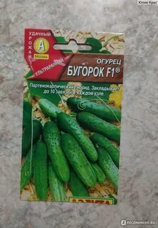 Огурцы бугорок