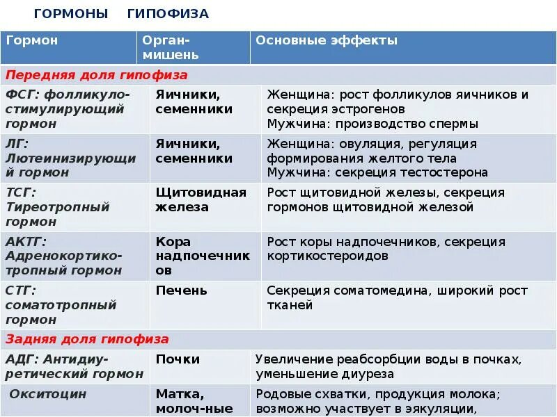 Регуляция роста и развития. Основные гормоны, регулирующие рос. гормоны регулирующие рост. гормоны гипофиза диуреза. эндокринная регуляция роста.