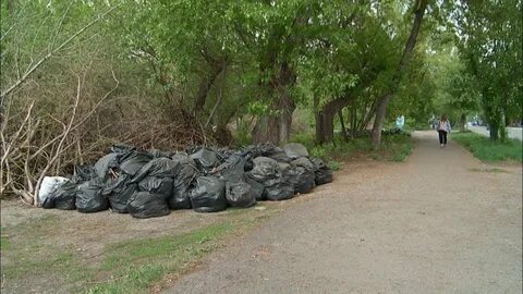 Вывезли гуртом