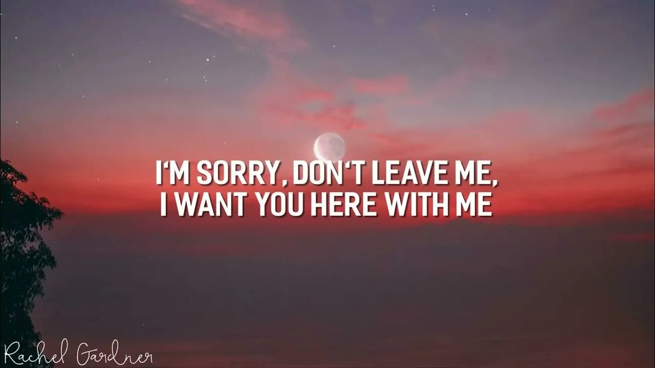 Im sorry don't leave me. Im sorry don't leave me i. Песня i'm sorry don't leave me. Slander - i’m sorry don’t leave me (Love is gone).