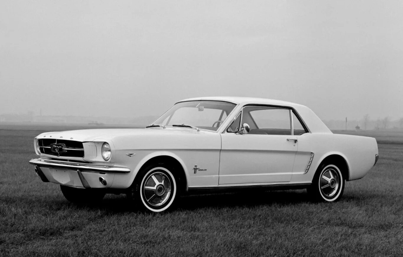 Best old cars. Форд Мустанг 1964. Форд Мустанг белый 1964. Форд Мустанг Шелби 1964. Ford Mustang 1965.