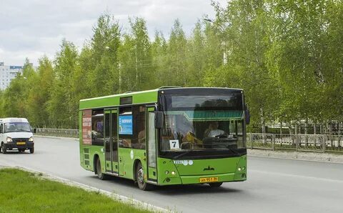 Автобус маз 206