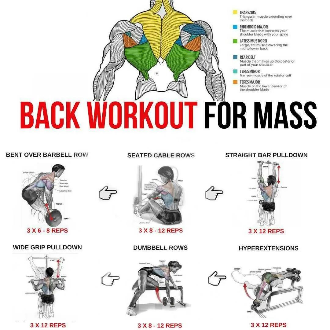 Упражнения на спину на массу. Суперсеты на спину для мужчин в тренажерном зале. Тренировка суперсеты плечи. Программа тренировки спины на массу с гантелями. Упражнения для мышц спины в тренажерном зале для мужчин на массу.