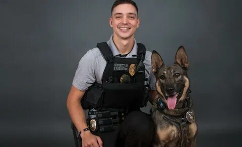 Программа k 9