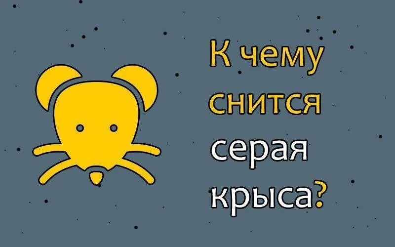 К чему снятся крысы. К чему снится снятся крысы. К чему снит я крыса. Крыса во сне видеть к чему снится. Сонник миллера крыса