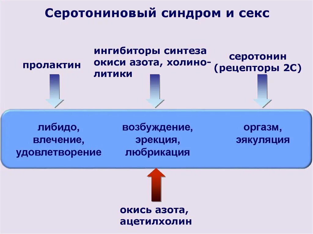 Серотониновве синдром. Серотониновый синдром симптомы. Что такое Мелатониновый синдром. Серотониновый синдром патогенез. Серотониновый криз