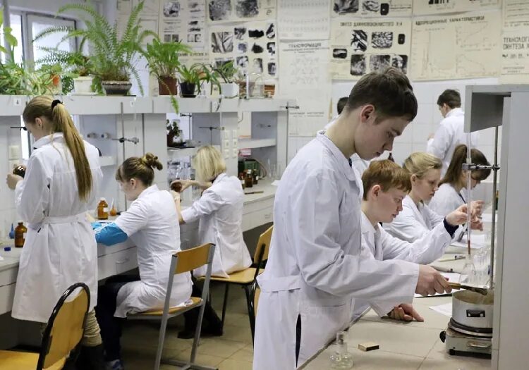 проверка белгу