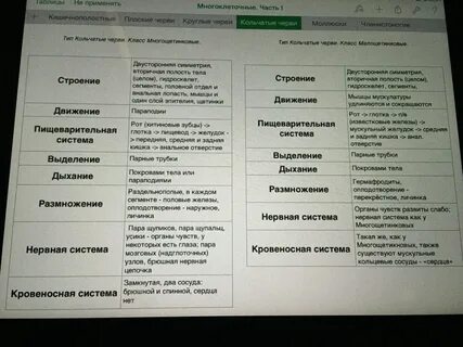 Каковы различия в строении круглых и кольчатых