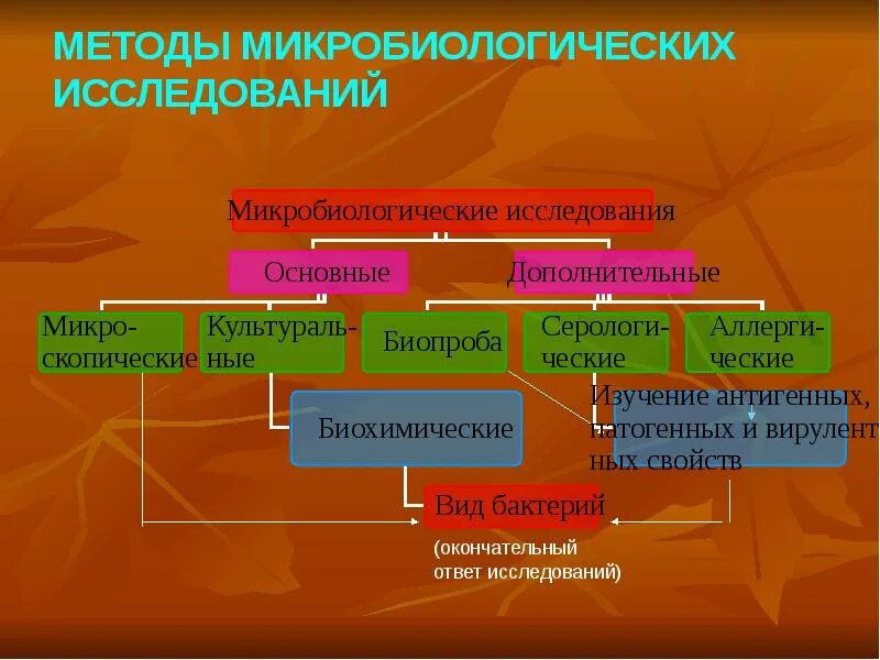 Микробиологический метод микробиология. Микробиологические методы исследования схема. методы микробиологического исследования таблица. методы исследования в микробиологии. алгоритм микробиологического исследования.