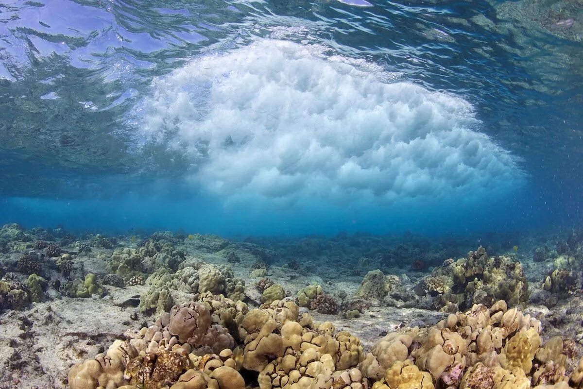 фото красот океана. красивые волны океана. уоррен килан волны. фото красот океана. море, волны.