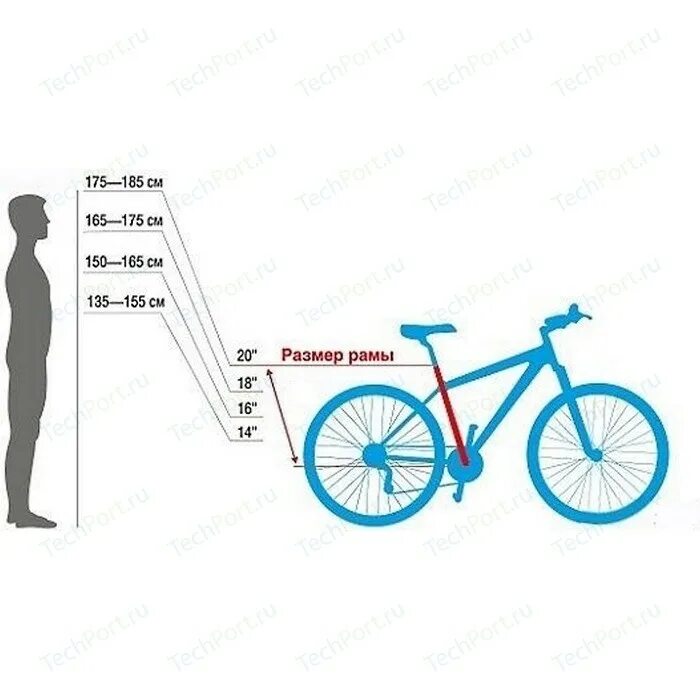 Габариты велосипеда стелс 20. Велосипед stels 27.5 габариты. Стелс навигатор 24 размер рамы. Велосипед стелс 20 дюймов колеса ростовка. Колеса велосипеда размеры купить