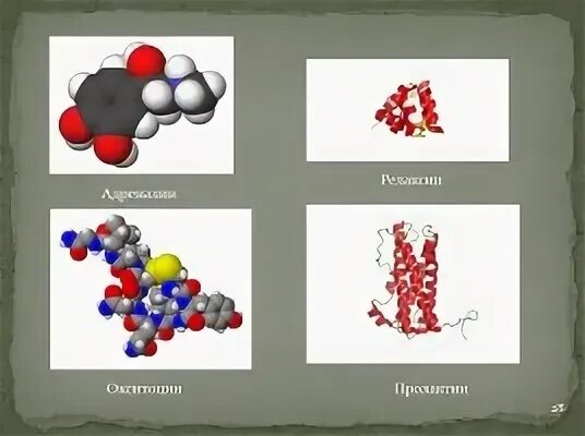Релаксин гормон. Окситоцин адреналин дофамин. Химическая формула любви oxytocin. Нейромедиаторы ацетилхолин норадреналин. Серотонин адреналин дофамин норадреналин.