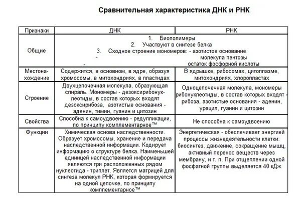 Различие в строение ДНК И РНК таблица. Сравнительная характеристика ДНК И РНК таблица 10. Сравнительная характеристика ДНК И РНК таблица строение. Сравнительные признаки ДНК И РНК таблица. Сравнить днк и рнк