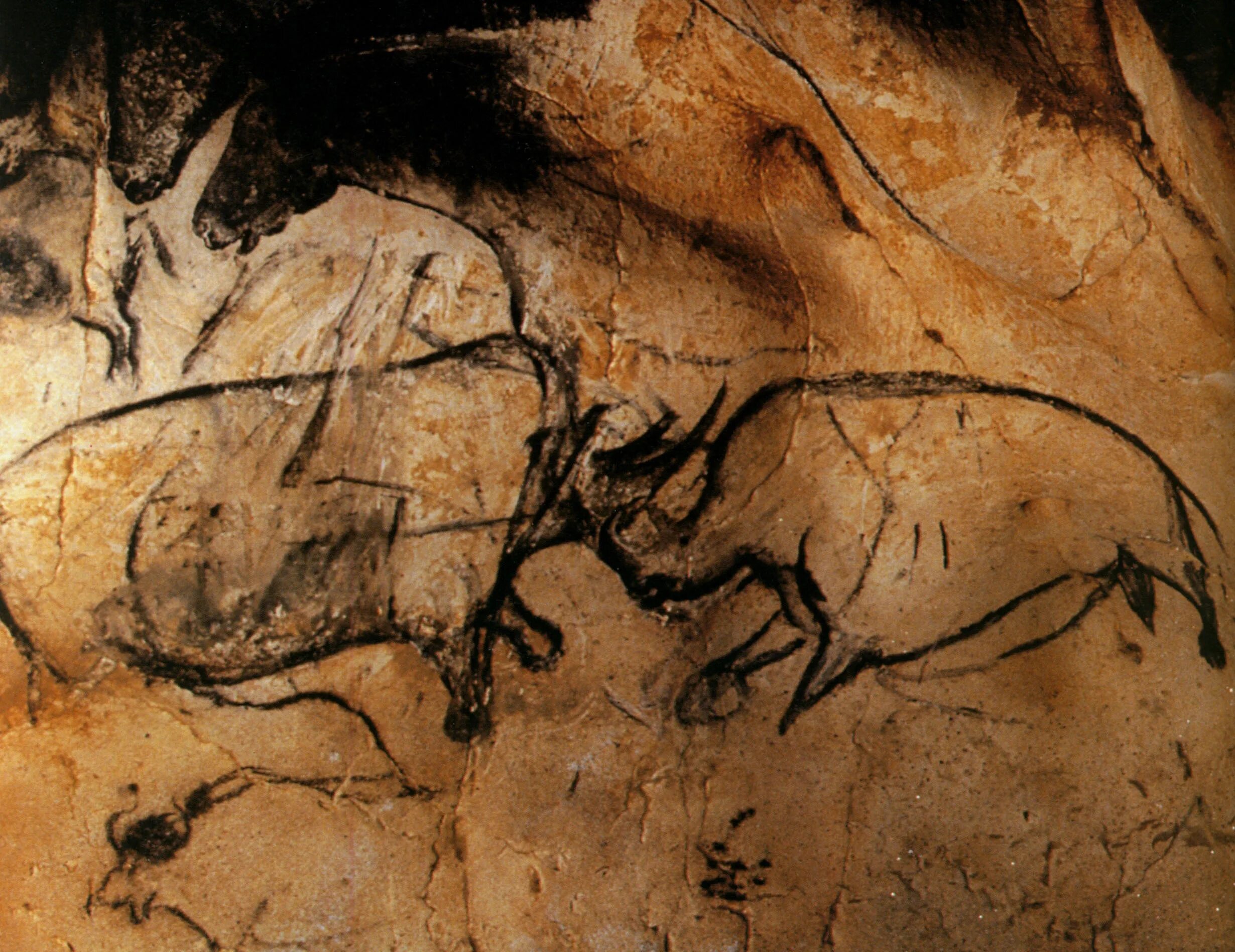 Краски известны человечеству с первобытных времен. Искусство палеолита пещера Шове. Пещера Ориньяк Франция. Пещера ла мут Франция.