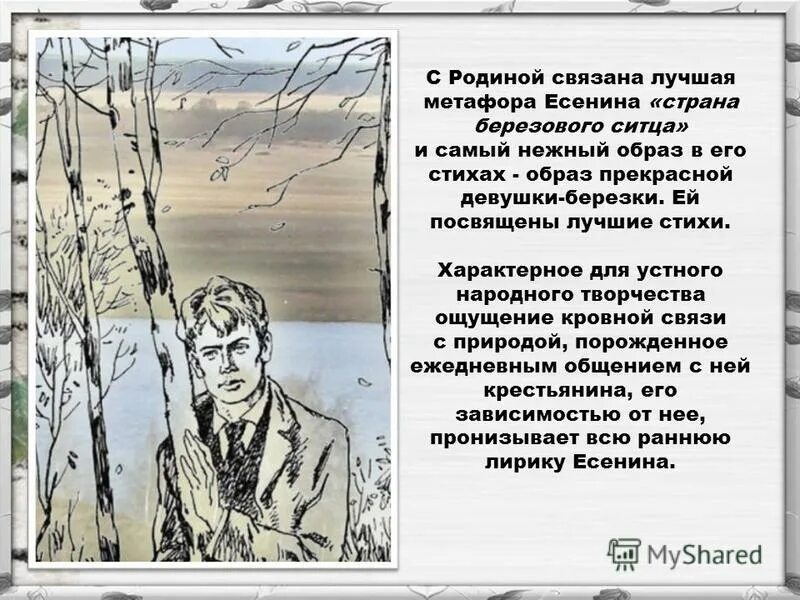 есенин поэт. есенин сергей александрович в молодости. поэта сергея александровича есенина. литературный вечер памяти есенина. в стране есенинских закончилось искусство.