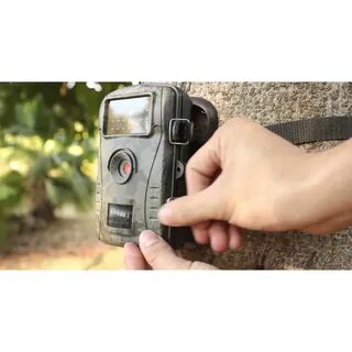 Trail camera