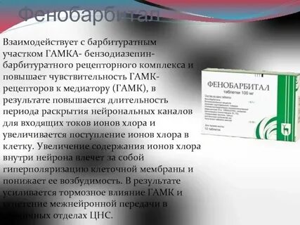 Сколько держится фенобарбитал в моче