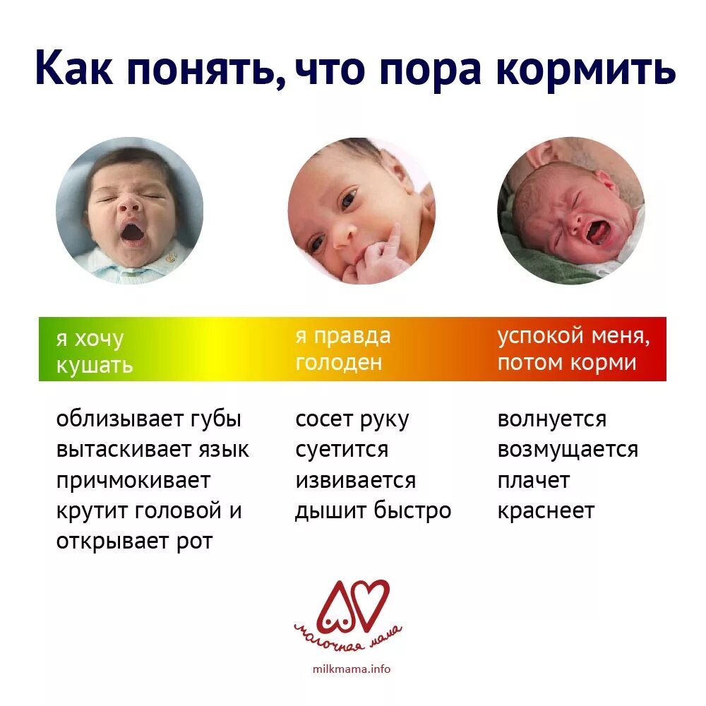 Почему ребенок тянет все рот. Кормление по требованию при грудном. как понять что ребенок голодный. кормление по требованию при грудном вскармливании. как понять кормить по требованию новорожденного.