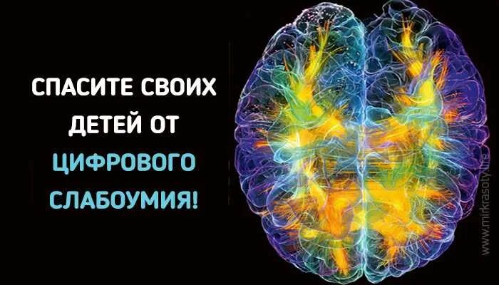 Цифровое слабоумие. Вирус цифрового слабоумия. Цифровая деменция. Цифровое слабоумие у детей.