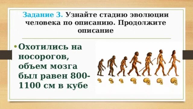 Стадии эволюции человека презентация. Этапы эволюции человека презентация 9 класс. презентация по биологии 9 класс эволюция человека. 3 этапа эволюции человека. развитие человека биология 9 класс.