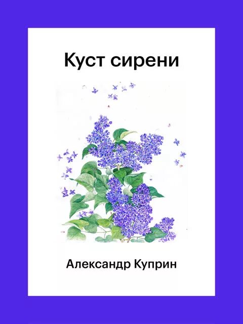 Книга Куприна куст сирени. Куст сирени Куприн иллюстрации. Куст сирени Куприн алмазов. Читать рассказ сирень