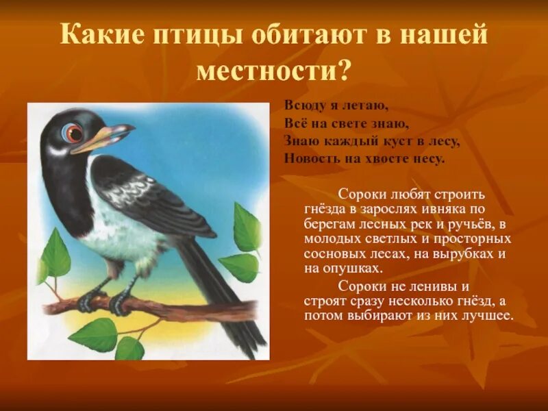 Про какую птицу