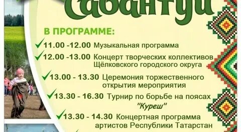 Программа зеленодольск