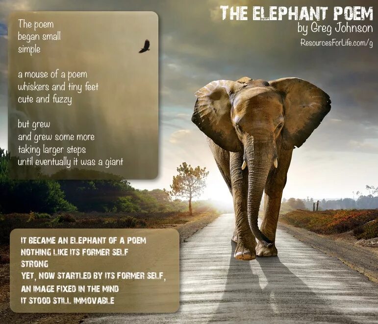 It s an elephant. Elephant poem. The story about Elephant. Poems about Elephants. Life Elephants.
