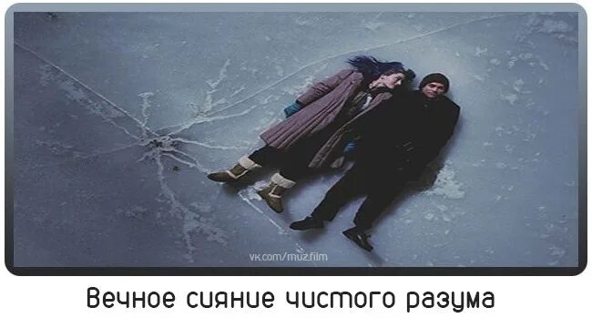 Цитаты из лед 3. Вечное сияние чистого разума. вечное сияние чистого разума на льду. вечное сияние чистого разума цитаты. фразы из вечного сияния чистого разума.