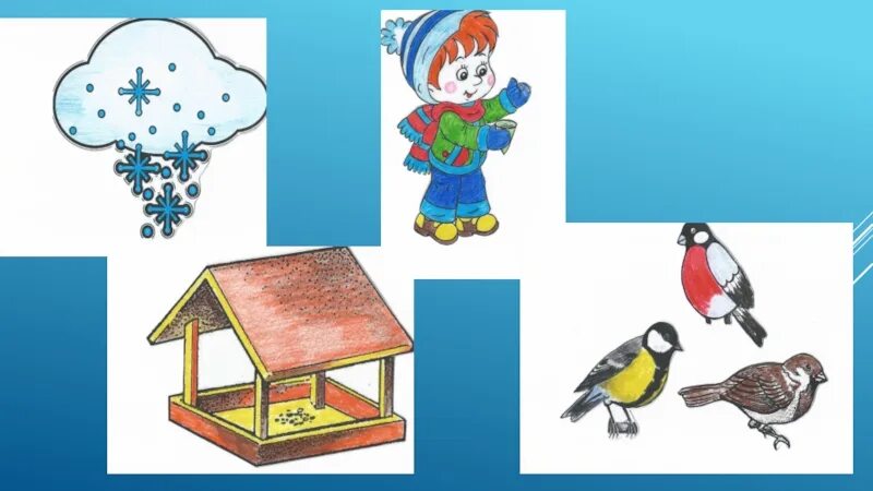 Птицы зимой младшая группа. Зимующие птицы старшая группа. Иллюстрации зимующих птиц. Зимующие птицы занятие для малышей.