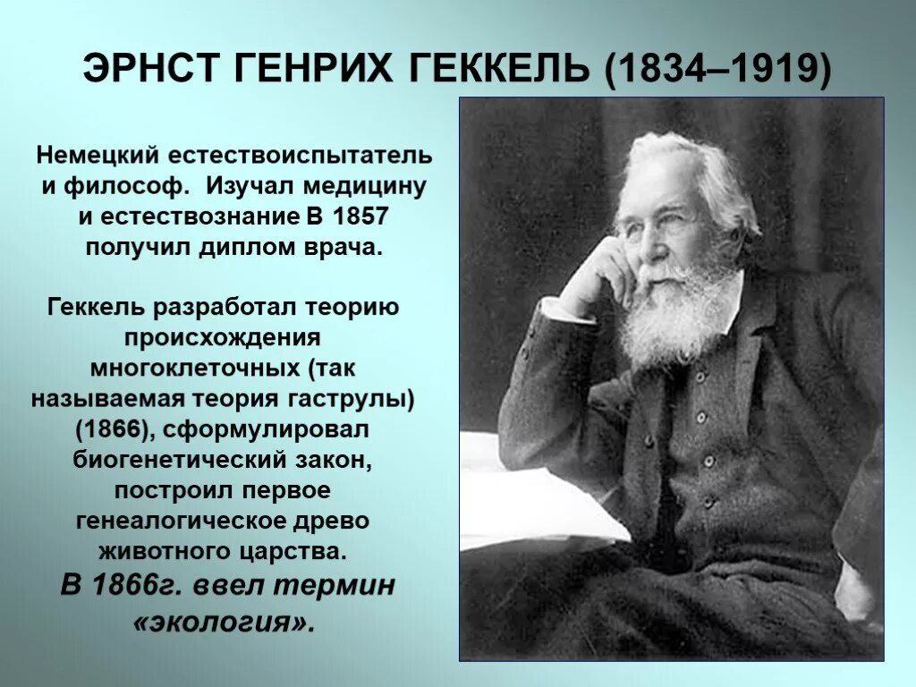 Кто из ученых разработал теорию. Эрнст Геккель открытия биологические. Эрнст Геккель экология. Эрнст Геккель открытия в экологии.