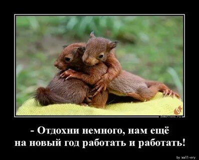 Отдохни немного
