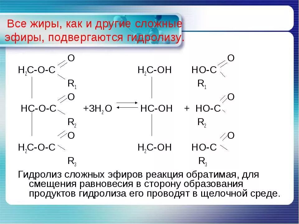 Ферментативный гидролиз жиров. Строение жиров. Сложные эфиры жиры строение. Гидролиз сложных эфиров. Гидролиз сложных эфиров и жиров.