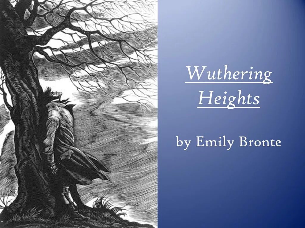 Lampulumen myriad wuthering waves. Цзиянь wuthering. emily bronte wuthering heights. wuthering heights - salt (2010). harpercollins wuthering height.