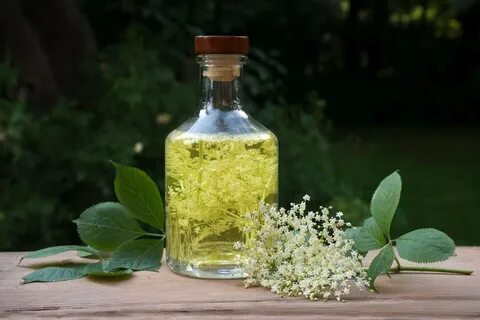 Ликер бузины