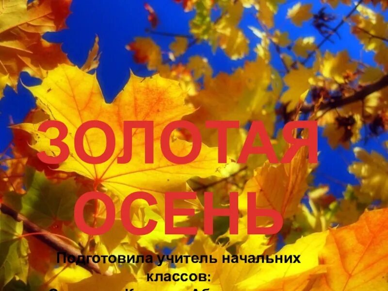 Золотая осень. Красивая золотая осень. Золотая жёлтая осень. Золотая осень мероприятие. Классный час золотая осень.