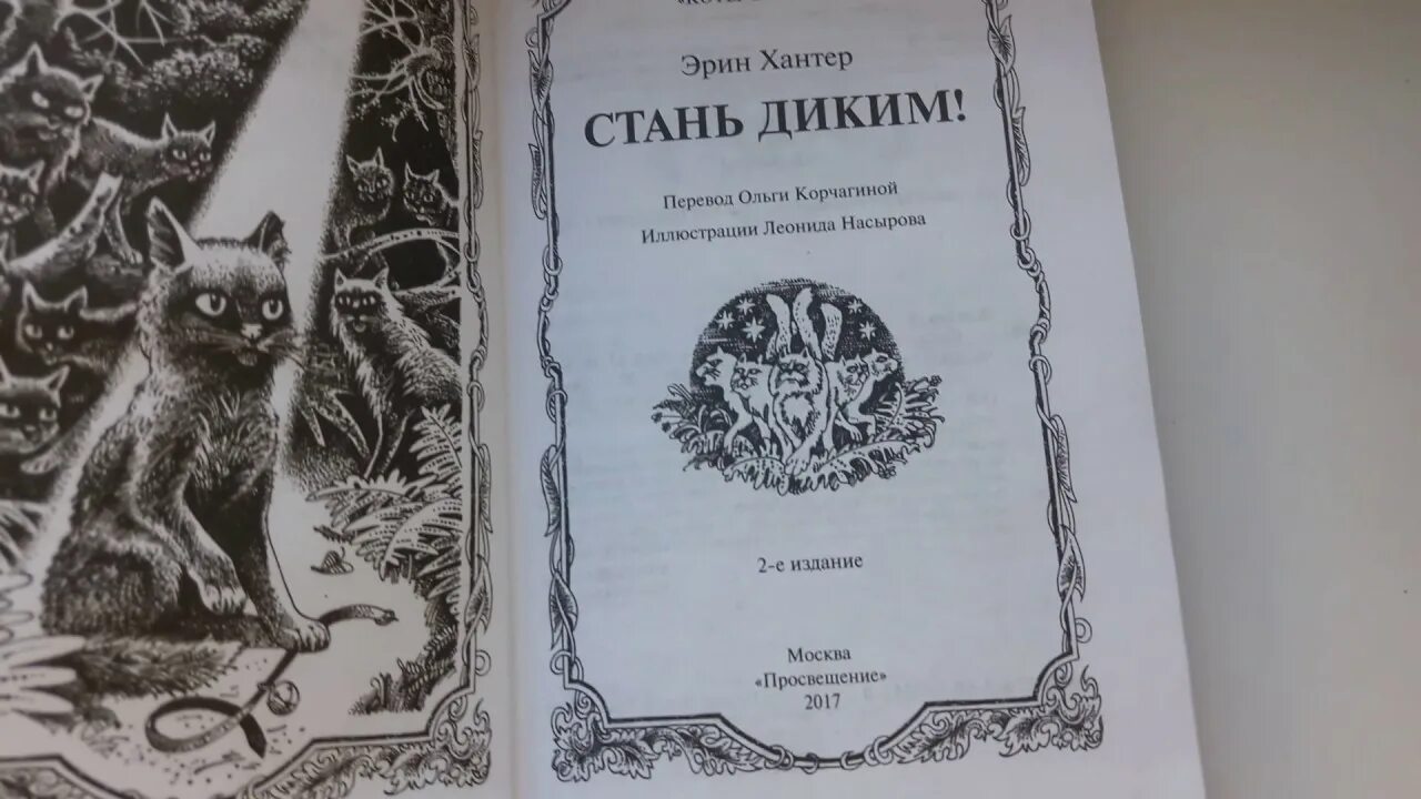 Хантер Эрин "Стань диким!". Стань диким! Эрин Хантер книга. Коты Воители книги. Иллюстрации к книге Стань диким. Аудиокнига стань диким