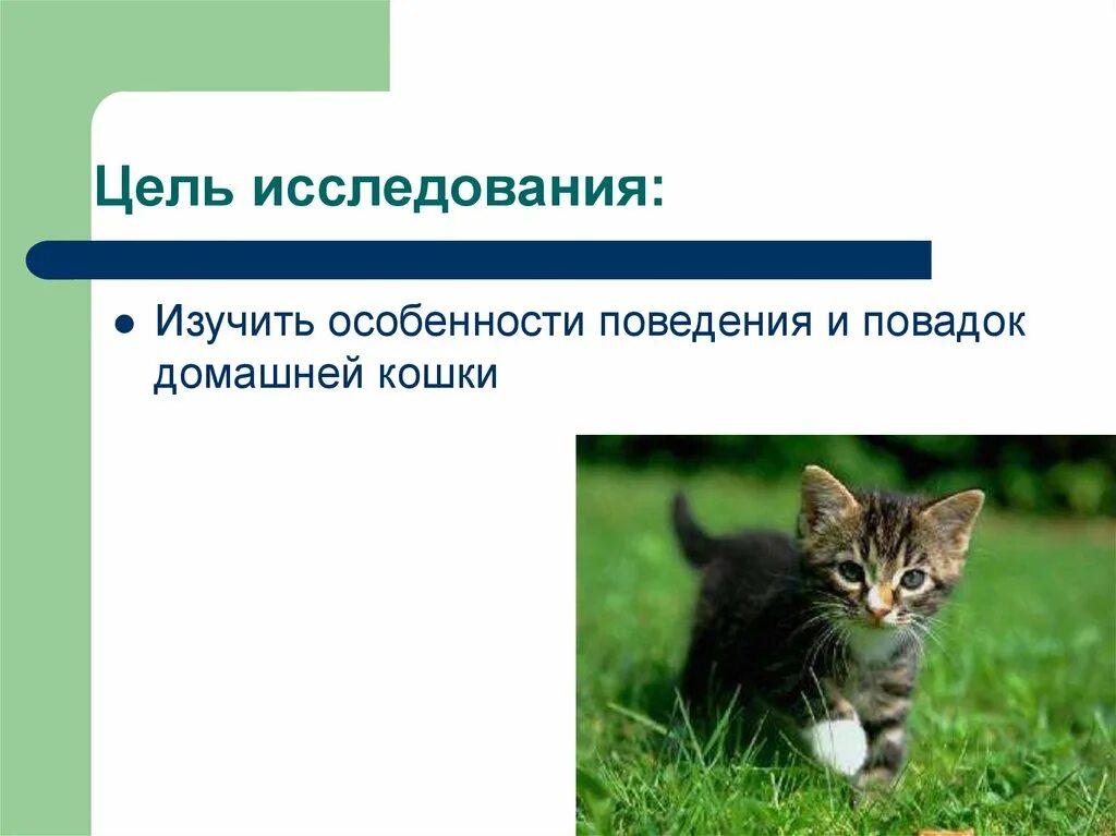 Повадка зверя