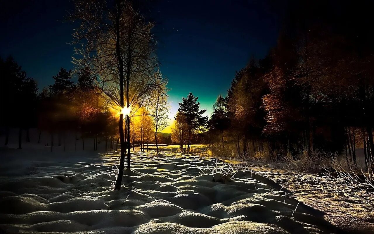 Ранний вечер время. Зима. К вечеру. Зимний ночной пейзаж. Зимний лес вечером.