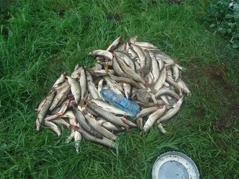 Село Мышланка Сузунского района. Карта Бобровка Сузунский район. Село Мышланка Сузунского района Новосибирской. Сузун Бобровка Сузунский район.