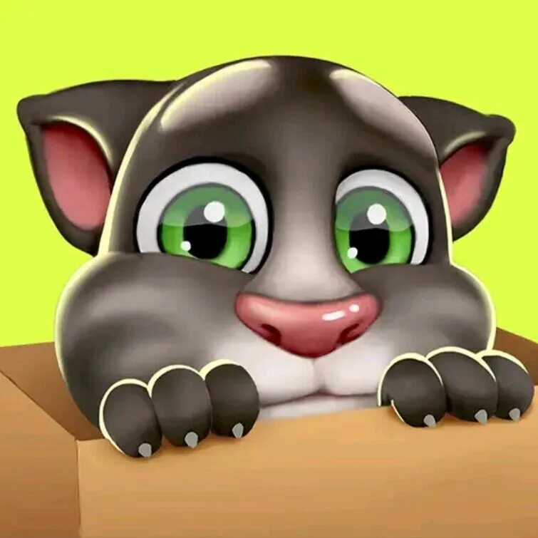 Модель говорящего тома. Outfit7 talking Tom. Мой говорящий том outfit7. My talking Tom 2013. Игры outfit7 Limited my talking Tom +.